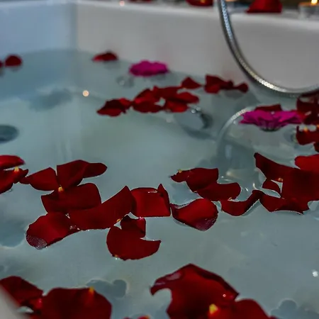 Luxury Flat And Free Parking Bolonia