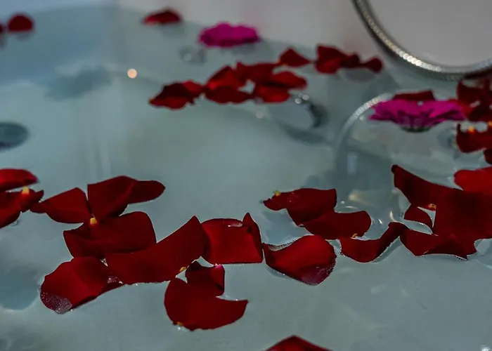 Luxury Flat And Free Parking بولونيا